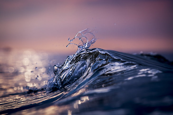 body of water, macro, sea, Florian Gruet, 500px, drop, liquid, HD wallpaper