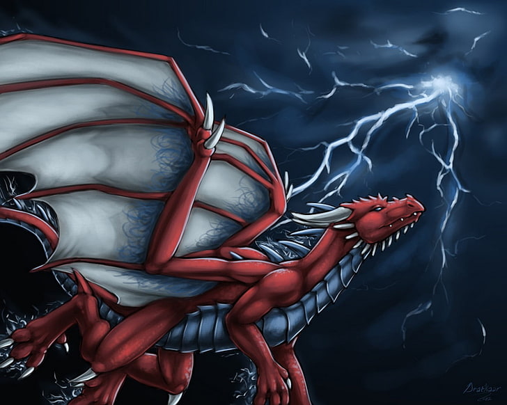red and gray dragon illustration, no people, pattern, water, studio shot, HD wallpaper