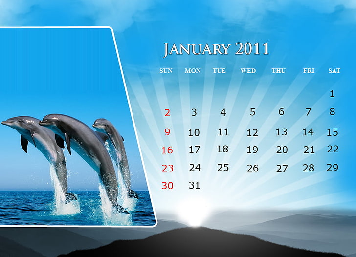 January-2011 Fish Design Calendar, January 2011 calendar, blue fish, HD wallpaper