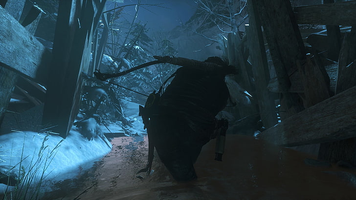 Rise of the Tomb Raider, winter, cold temperature, snow, tree, HD wallpaper