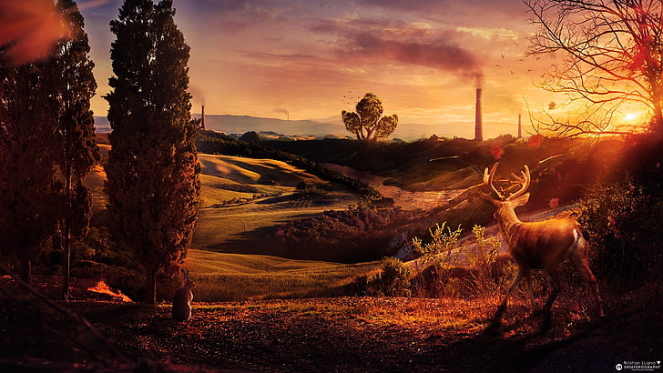 deer and trees painting, Desktopography, nature, landscape, sunset, HD wallpaper