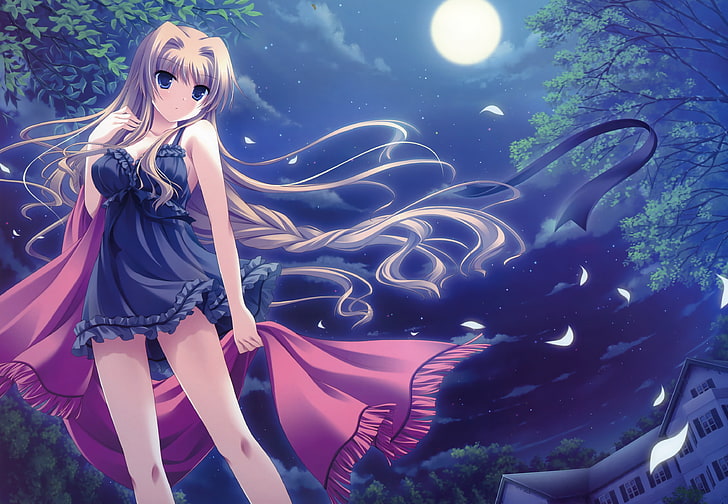 woman in black nighties anime digital wallpaper, girl, moon, petals, HD wallpaper