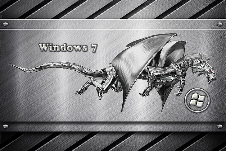Win 7 Metal Dragon, Windows 7 digital wallpaper, Computers, silver, HD wallpaper