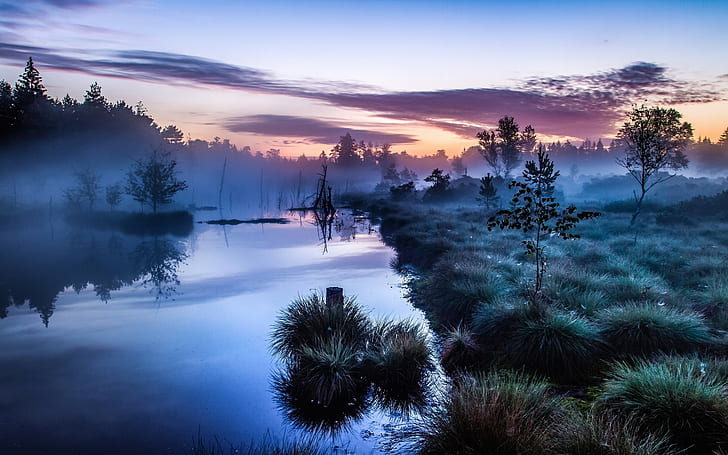 landscape, trees, morning, Europe, mist, river, water, blue, HD wallpaper