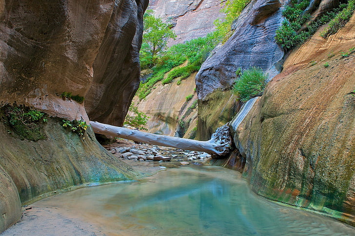landscape, nature, Zion National Park, water, rock, rock - object, HD wallpaper