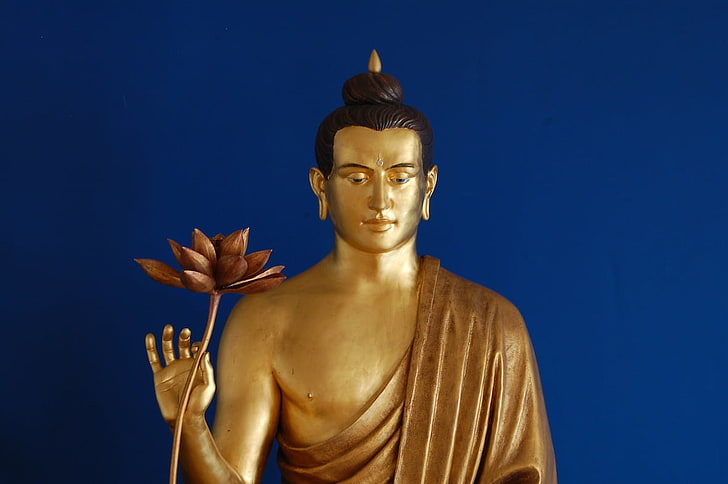 HD wallpaper: Gautam Buddha, man statue, God, Lord Buddha, blue, studio  shot | Wallpaper Flare