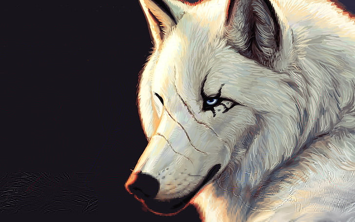 white wolf digital wallpaper, black background, blue eyes, scars