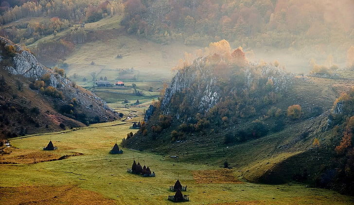 green mountains with trees, valley, Romania, cliff, mist, field