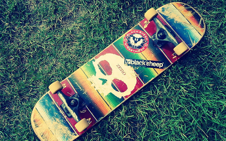 grass, skateboard