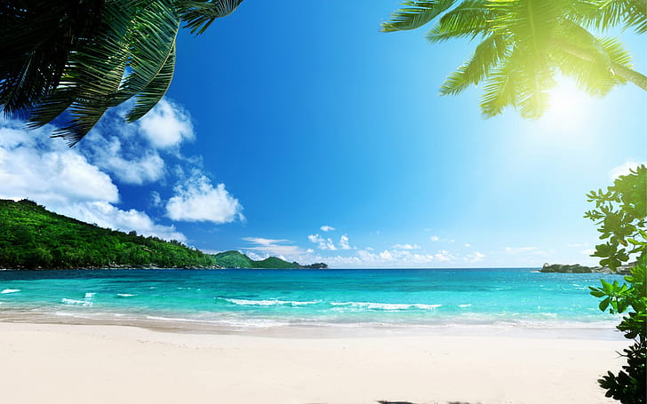 tropics, beach, palms, sea, islands, sun, stunning, caribbean sea, beach during daytime, HD wallpaper