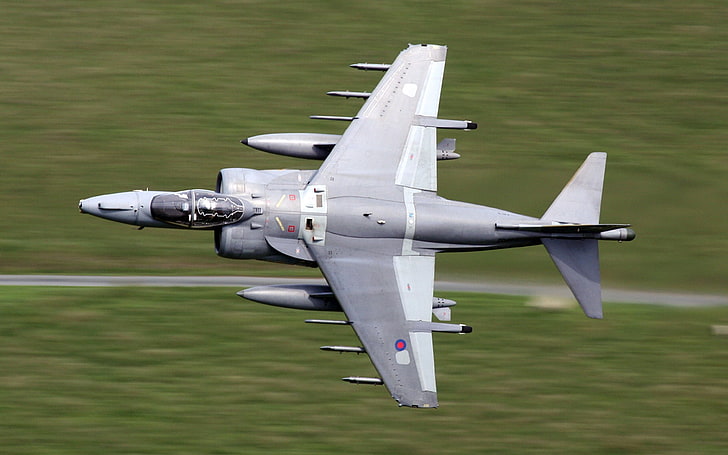 gray fighter plane, airplane, war, military, Harrier, grass, aircraft