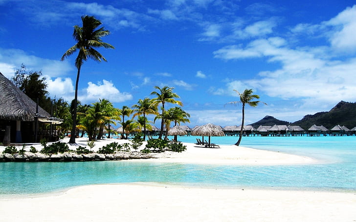 Bora Bora Beach Resort Palm Sea, HD wallpaper