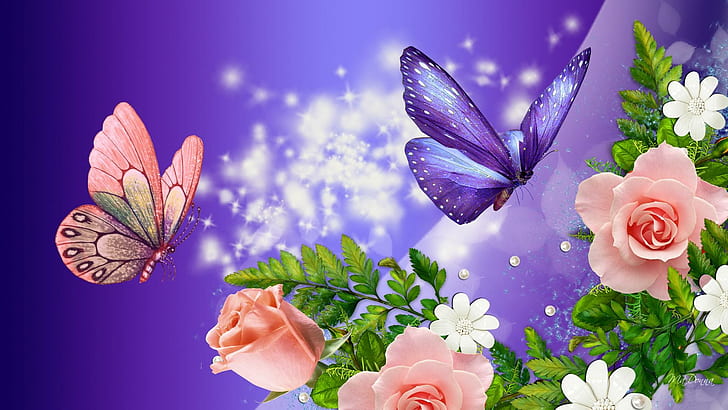 Peach Roses Purple Fantasy, stars, bright, flowers, spring, summer, HD wallpaper