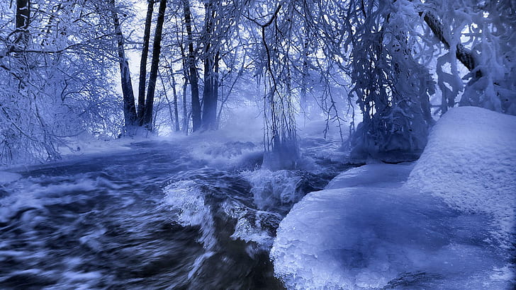 Roaring River In Winter, trees, flowing, nature and landscapes