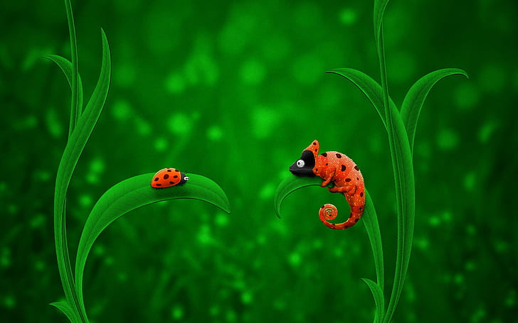 Ladybug Chameleon, red and black lady bug, creative and graphics, HD wallpaper