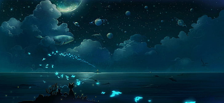 animals, birds, butterfly, cat, clouds, fish, moonlight, night, HD wallpaper