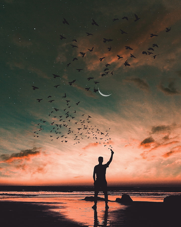 silhouette of man putting hand up, birds, shore, sea, sky, horizon