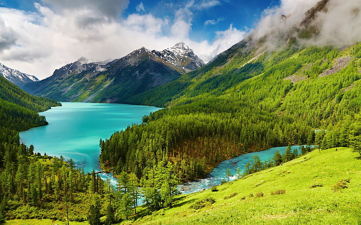 photo of green trees and body of water, nature, landscape, mountains