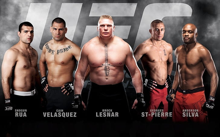 HD wallpaper: Sports, Mixed Martial Arts, Anderson Silva, Brock Lesnar,  Cain Velasquez | Wallpaper Flare
