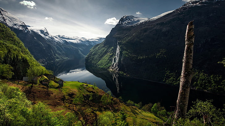 mountains and body of water, landscape, nature, fjord, trees