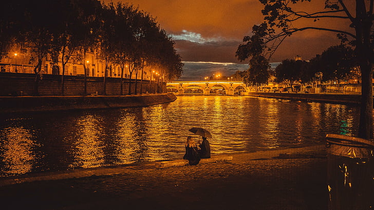 dusk, seine river, romantic, france, paris, tree, city lights, HD wallpaper