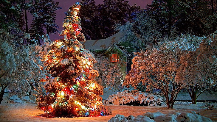 snow, christmas day, christmas eve, snowy, night, christmas lights, HD wallpaper
