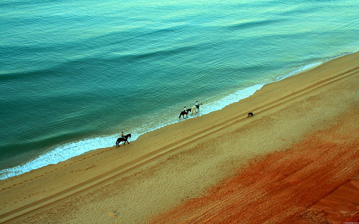 three horses, beach, land, sea, water, sand, beauty in nature