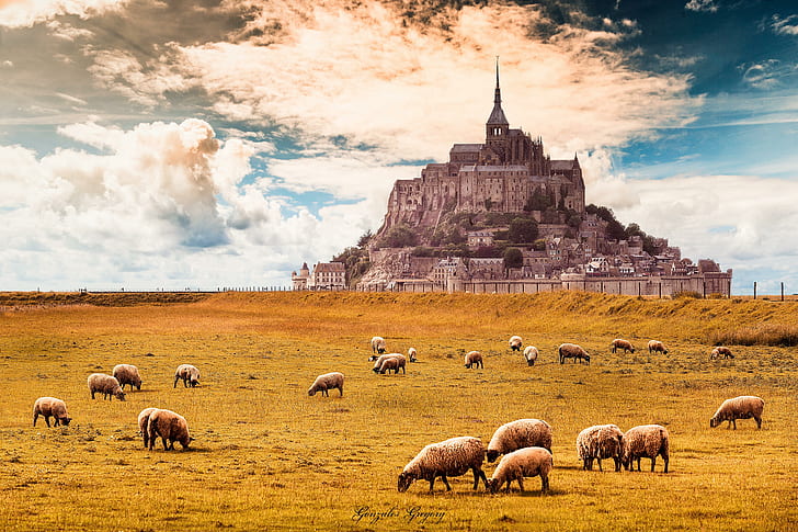 Mont-saint-michel In Normandy France, HD wallpaper