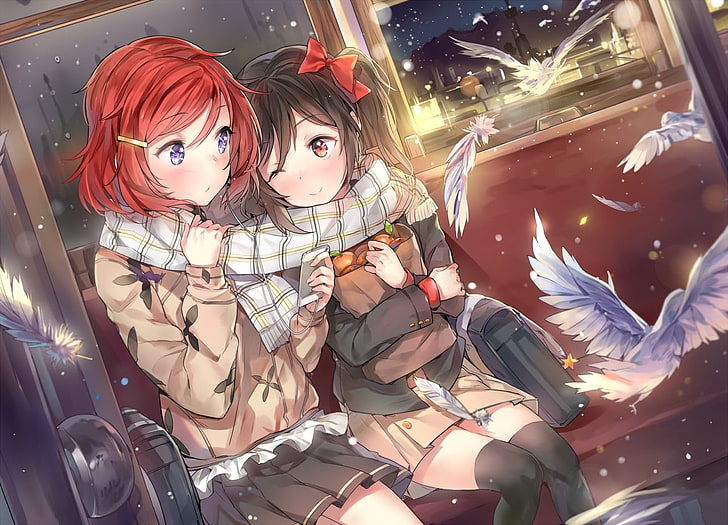 two brown and red haired female characters illustration, birds