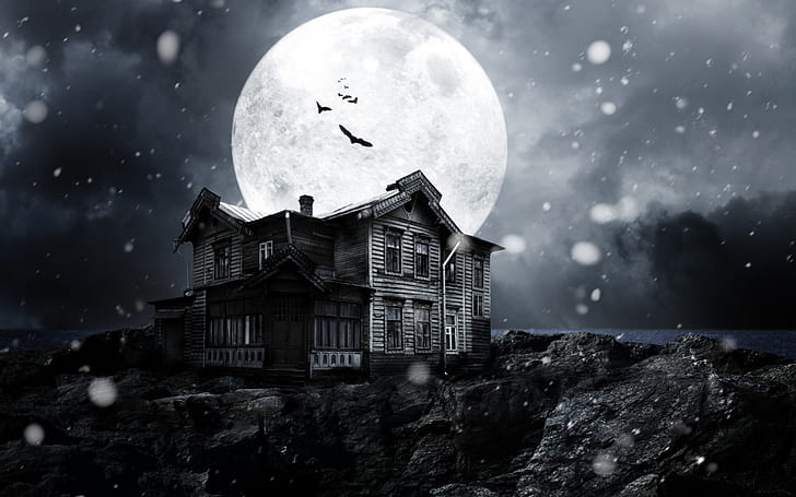 A Haunted House Movie, HD wallpaper