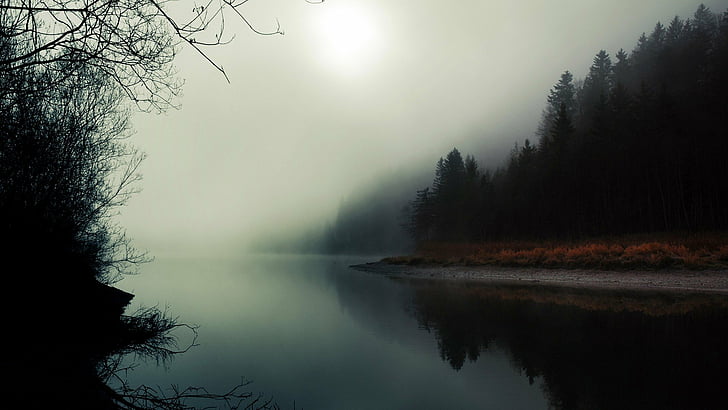 fog, landscapes, peaks, trees, twin, water, HD wallpaper