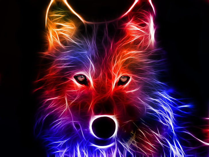 Hd Wallpaper Yellow Red And Blue Wolf Graphic Animal Abstract Colorful Wallpaper Flare Wolf 4k wallpapers for your desktop or. yellow red and blue wolf graphic