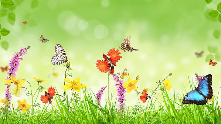 Spring, flowers, grass, butterfly, green background, creative design, cabbage white butterfly, morpho butterfly and tiger swallowtail butterfly print, HD wallpaper