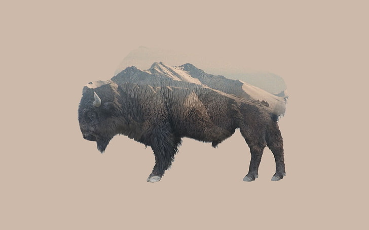 brown bison, double exposure, animals, mountains, nature, animal themes, HD wallpaper