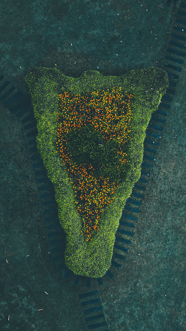 aerial photography of islet, nature, bird's eye view, green color