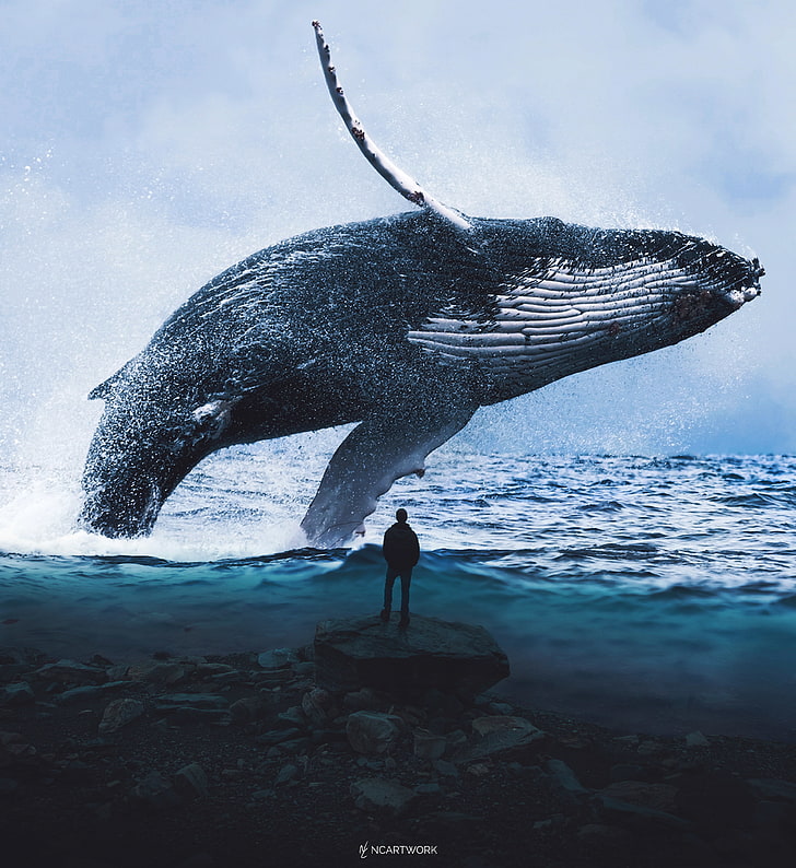 Man, Blue Whale, 4K, Dream, Water