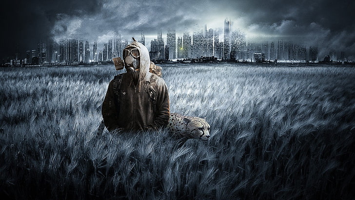 man in grass field near cheetah, men, architecture, water, city, HD wallpaper