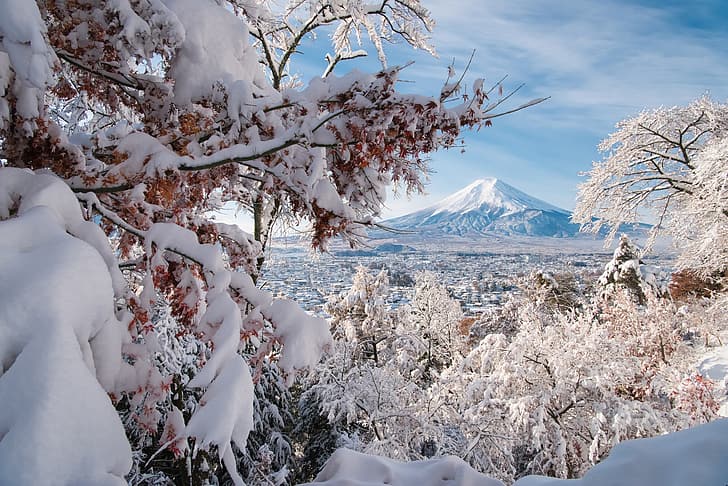 winter, snow, trees, branches, the volcano, Japan, panorama
