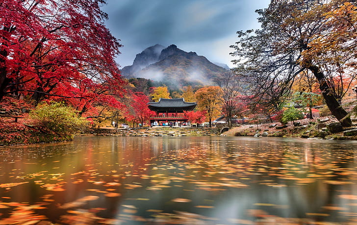 autumn, clouds, trees, mountains, fog, pond, Park, temple, South Korea