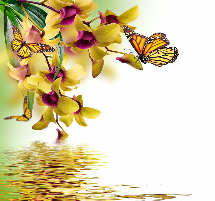 HD wallpaper: animals, art, butterflies, butterfly, orchid, painting,  reflection | Wallpaper Flare