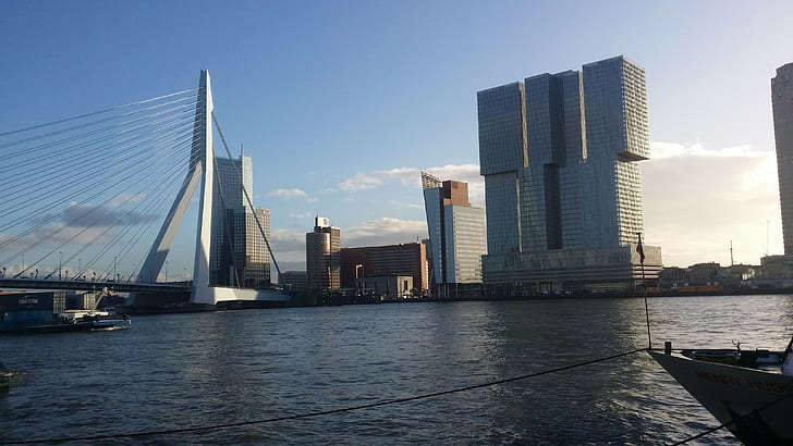 City, Rotterdam, Bridge, Building, De Rotterdam, Erasmusbrug, Netherlands