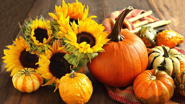 pumpkin, orange, squash, vegetable, halloween, produce, food, HD wallpaper