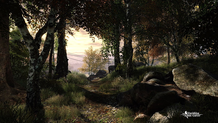 The Vanishing of Ethan Carter, video games, forest, tree, plant