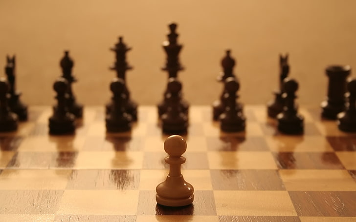 black and brown chess piece, field, one, warrior, strategy, leisure Games, HD wallpaper