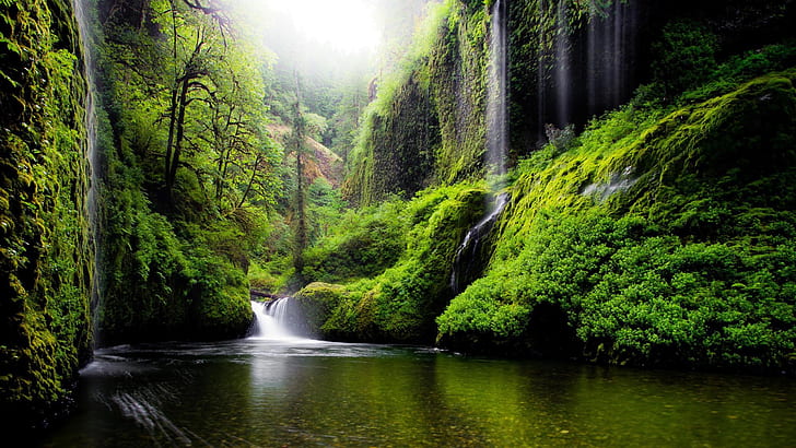 HD wallpaper: Spring Landscape Waterfall In Oregon Usa Nature River Water  Trees Foliage Desktop Wallpaper Download Free | Wallpaper Flare