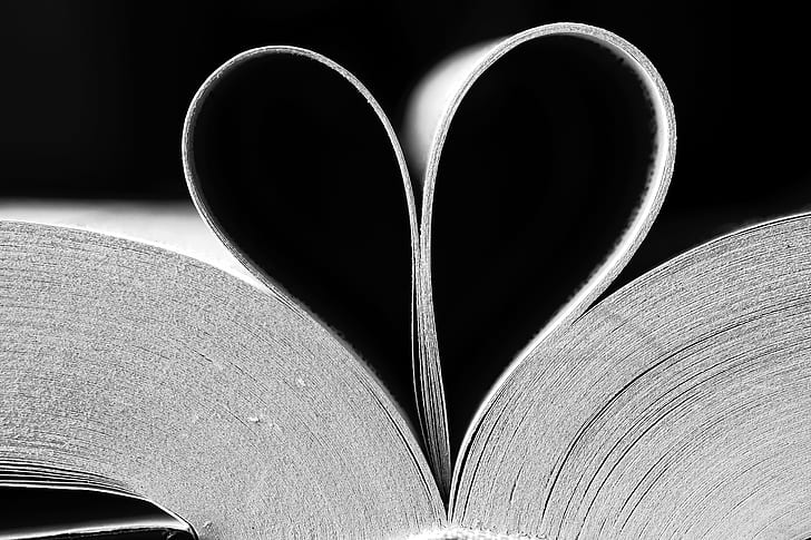 close up photo of book with heart-shaped of pages, Book of love