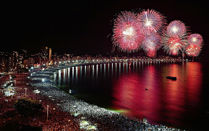 assorted-color fireworks, New Year, holiday, coast, crowds, night