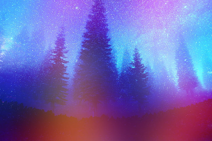 tall trees, pine trees, forest, night, colorful, constellations