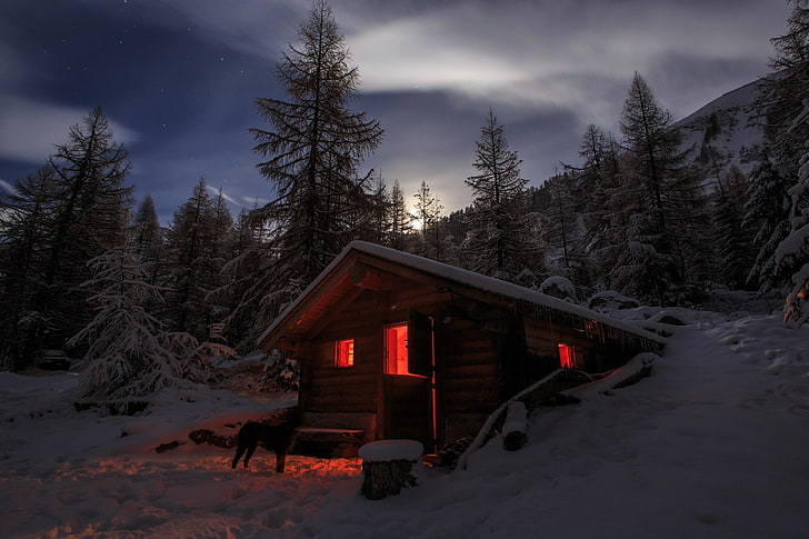 brown wooden house, photography, landscape, nature, winter, cabin