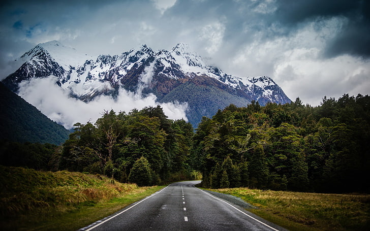 green leaf trees, road, New Zealand, landscape, mountains, clouds